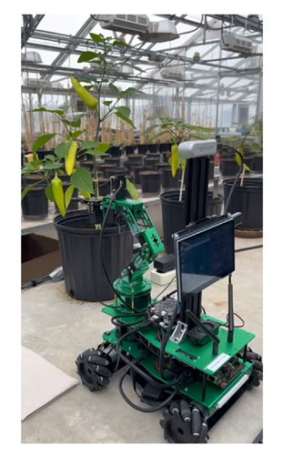 Harvest-Bot: precision harvesting of pepper (Capsicum annuum L.) varieties in a greenhouse
